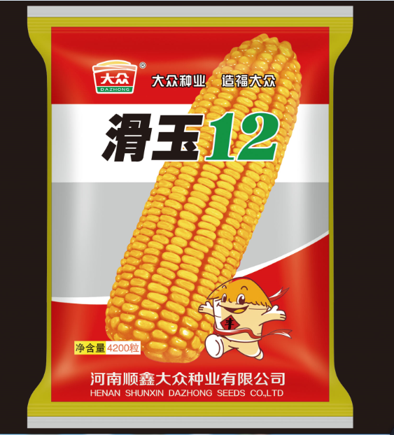 滑玉12